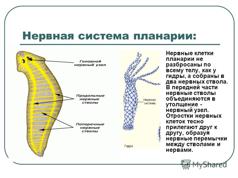 Kra10.cc