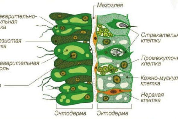 Какая ссылка на кракен